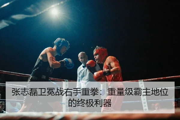 zhang-zhi-lei-wei-mian-zhan-you-shou-zhong-quan-zhong-liang-ji-ba-zhu-di-wei-de-zhong-ji-li-qi-3-875.jpg